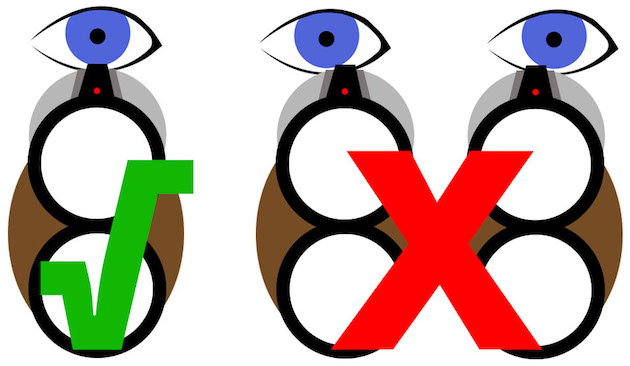 eye positions to line up cast for gun fit 