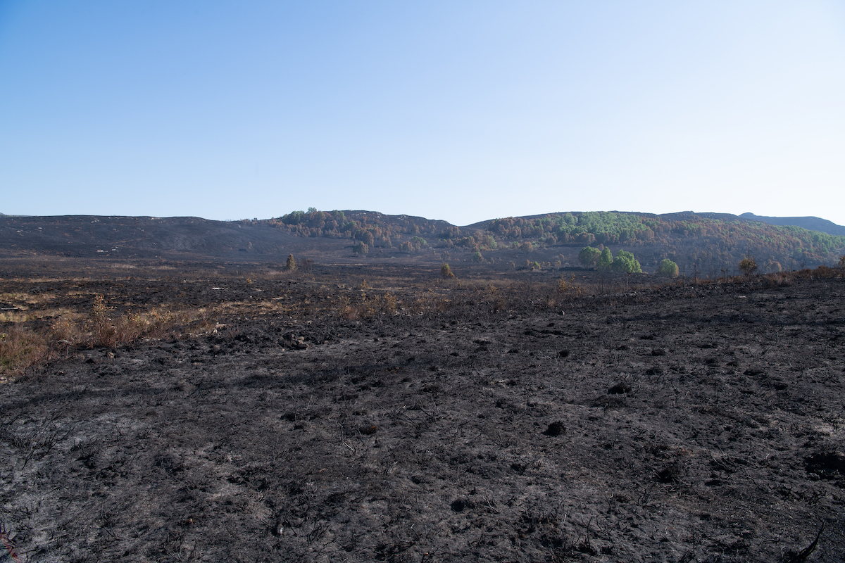 Fire crews battle through a fourth day at major Highland wildfire