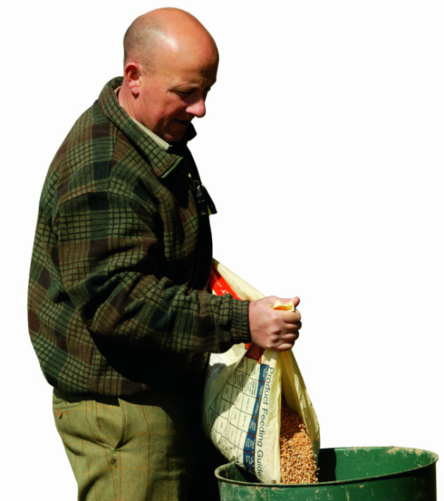 gamekeeper feeding pheasants