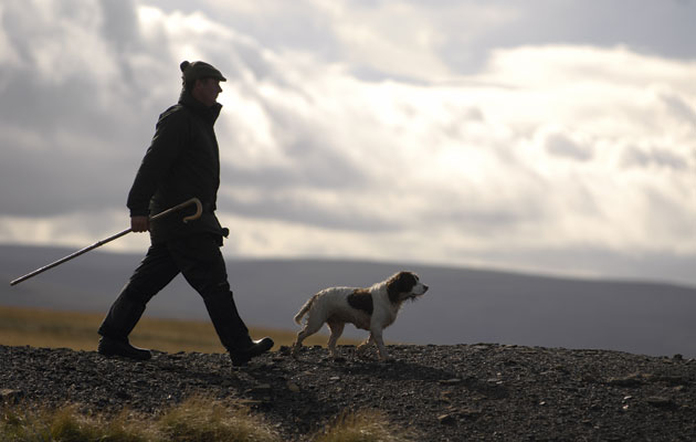 Is Yorkshire the ultimate fieldsports county?
