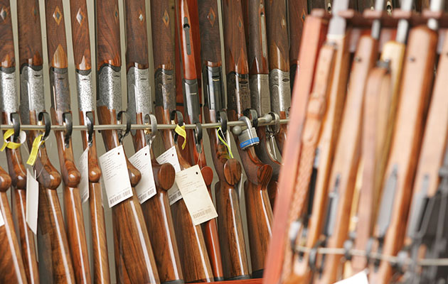 firearms licensing system