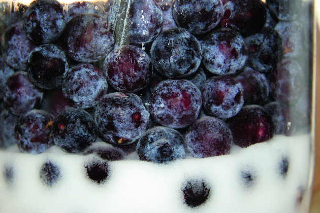 Frozen sloes 