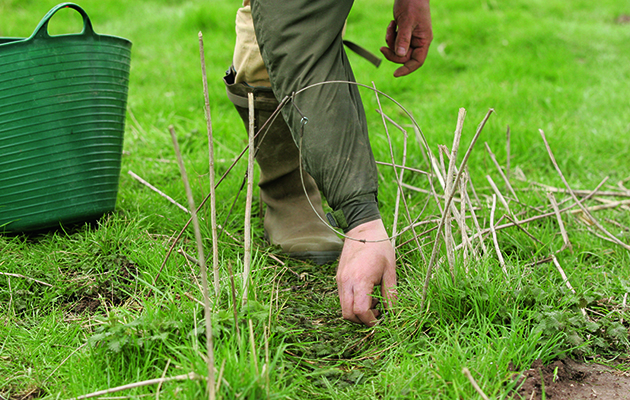 Rural groups take lead on new fox snaring code