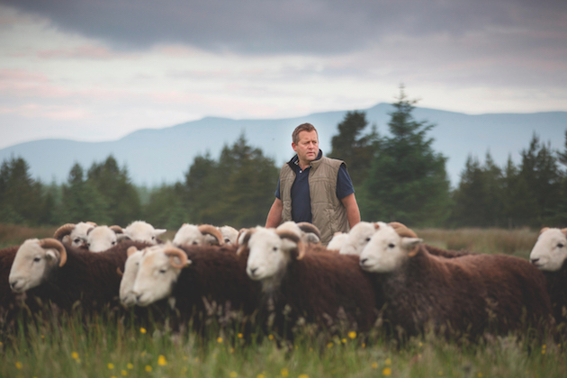 Farmer with sheep 