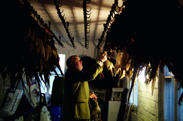 Hanging game birds