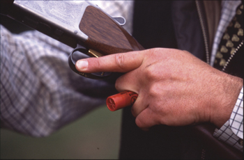 Gamekeeper admits to shooting and attempted murder