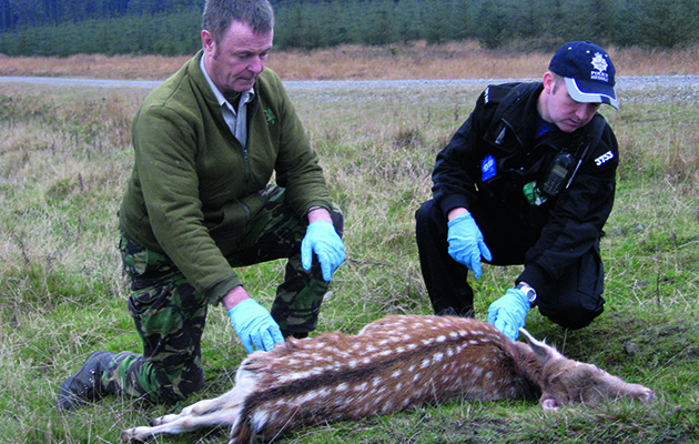 Gamekeeper records