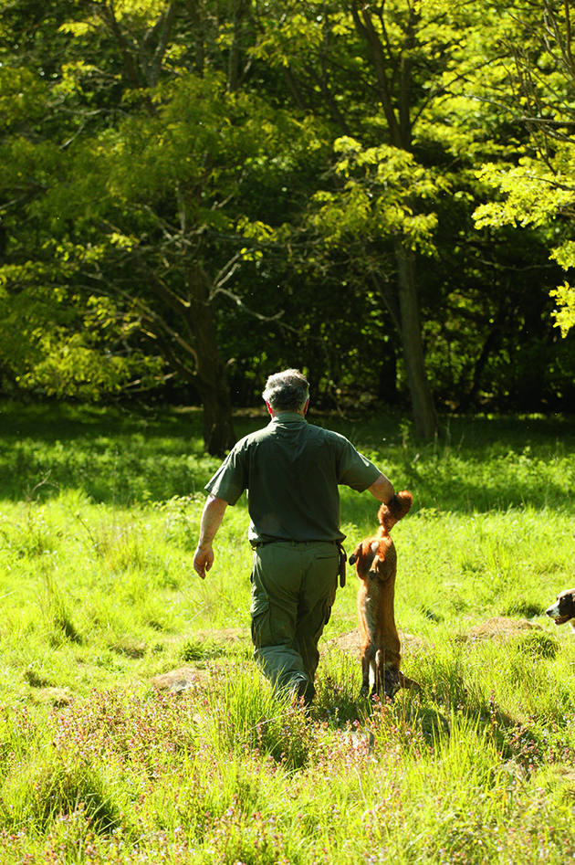Gamekeeper records