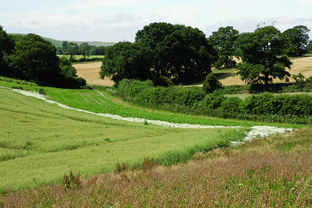 Why gamekeepers should keep detailed records of a shoot