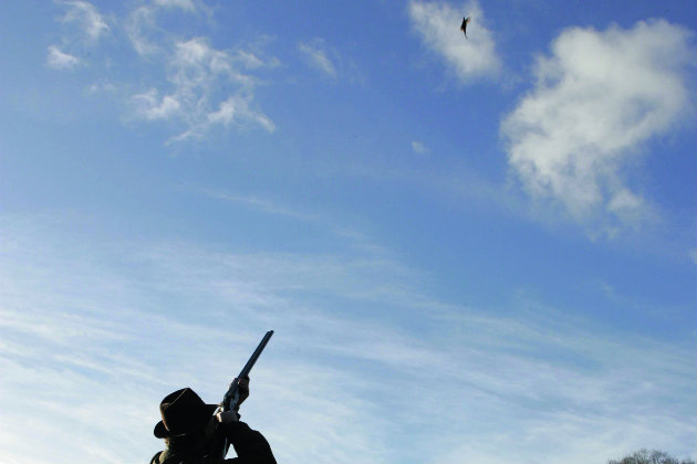 Man shooting on sunny day