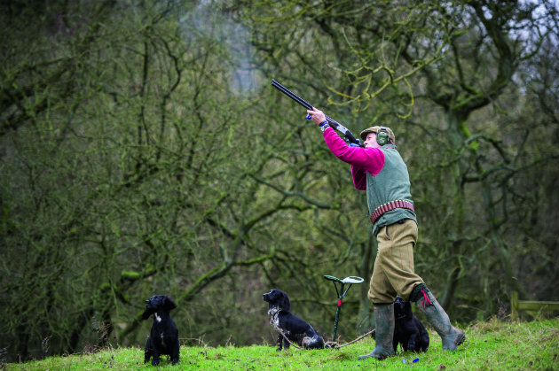 Labour Party outlines shooting plans
