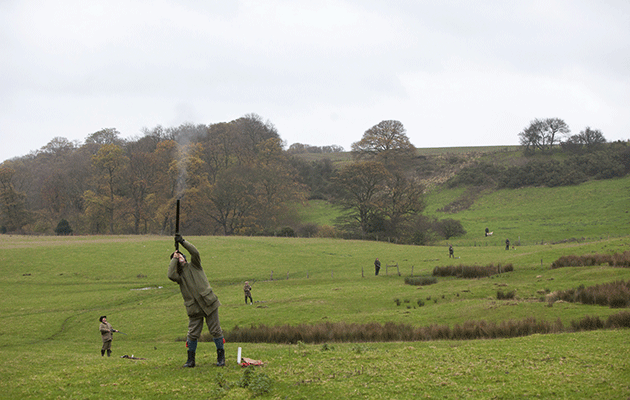 Grinkle Park, pheasant shooting from North Yorkshire