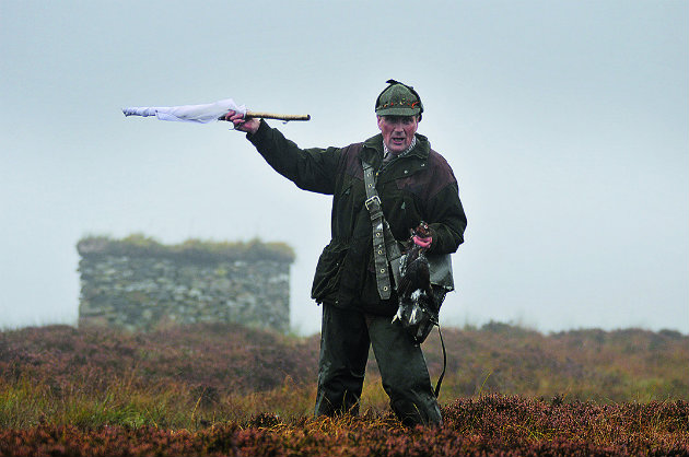 on grouse moor