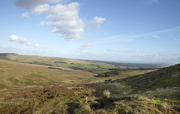 Grouse moor licensing