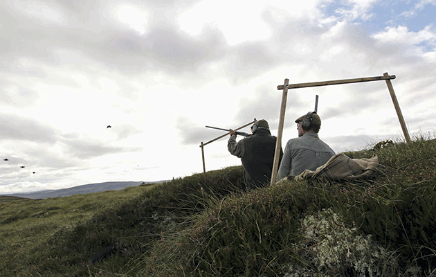 Why is the back bird so hard to master when grouse shooting?