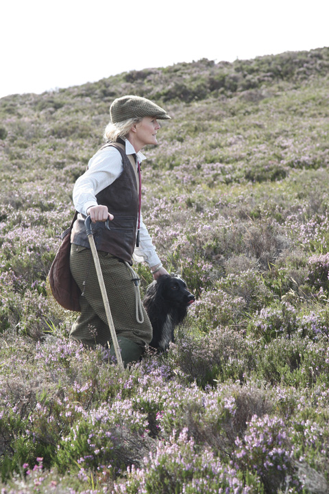 Walked-up grouse shooting in Perthshire