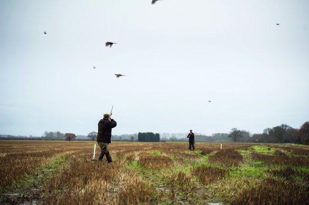 men shooting in field