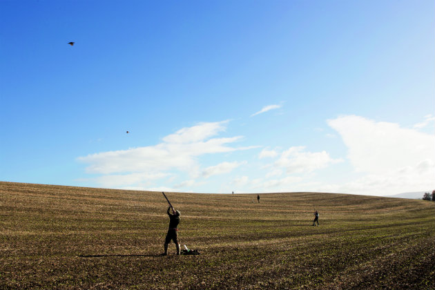 Shooting in field