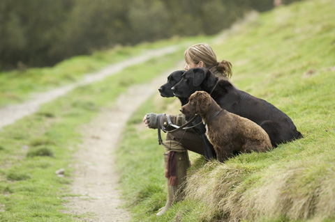 HMRC: A guide to game shooting and the taxman