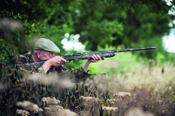 Pigeon shooting: The flightline factor