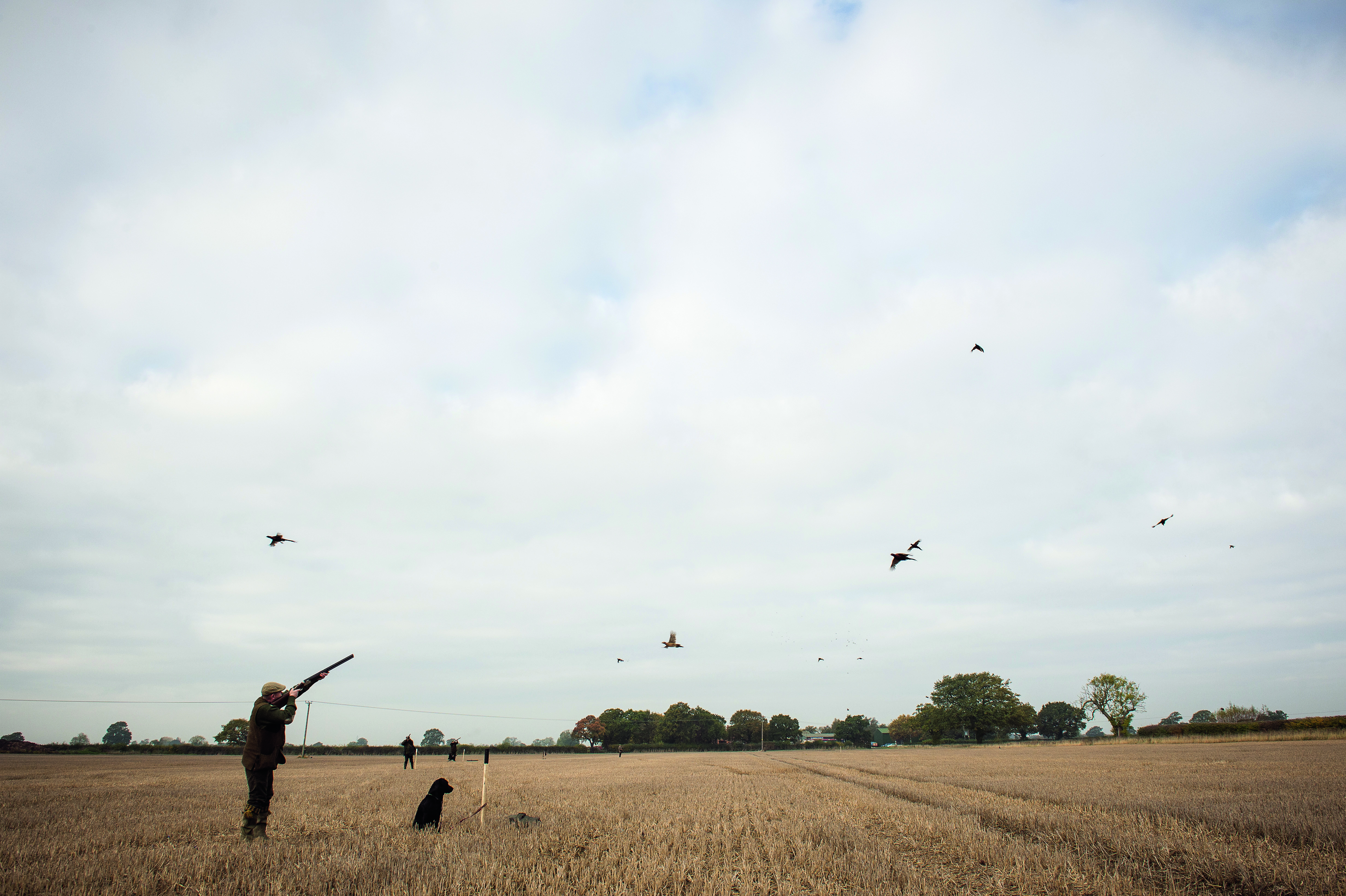 man shooting in field