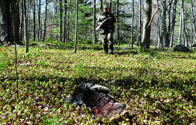 Turkey hunting on Beaver Island