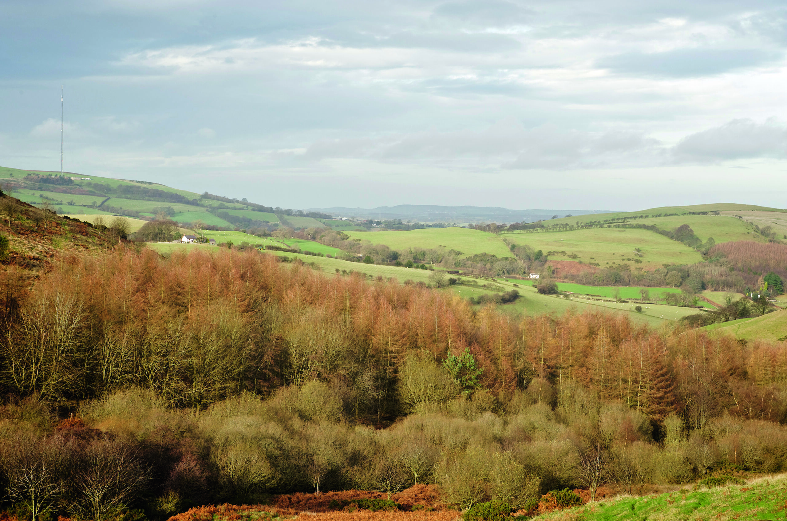 Conservation groups support Nature Directives status quo