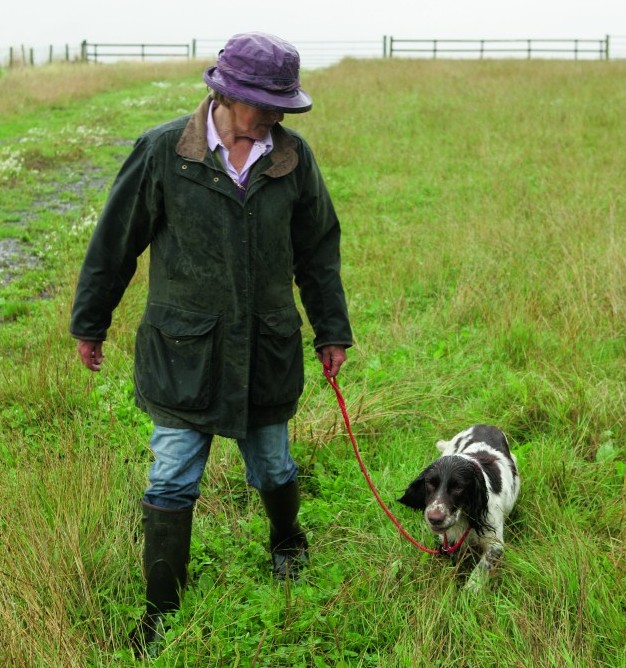 gundog training puppies 