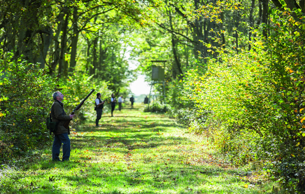 Rutland&#8217;s &#8220;squirrel&#8221; wood shoot