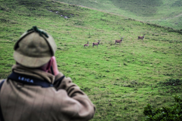 deerstalking 