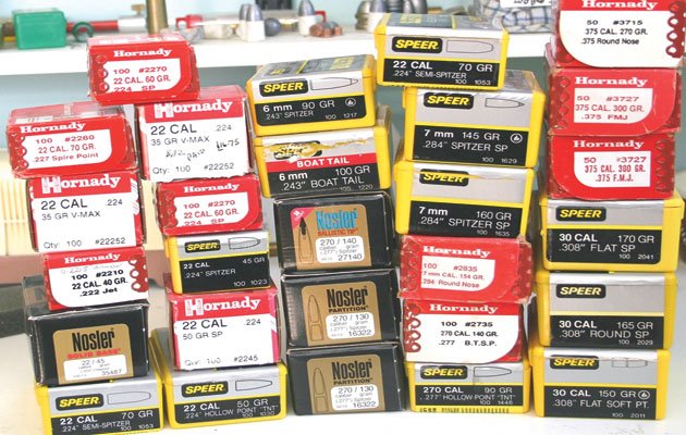 Long-range bullets for pest control