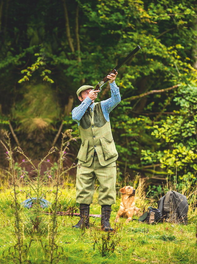 marking pricked birds 