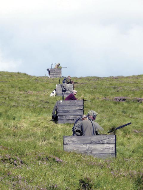 Grouse shooting at Hartside Moor, Cumbria