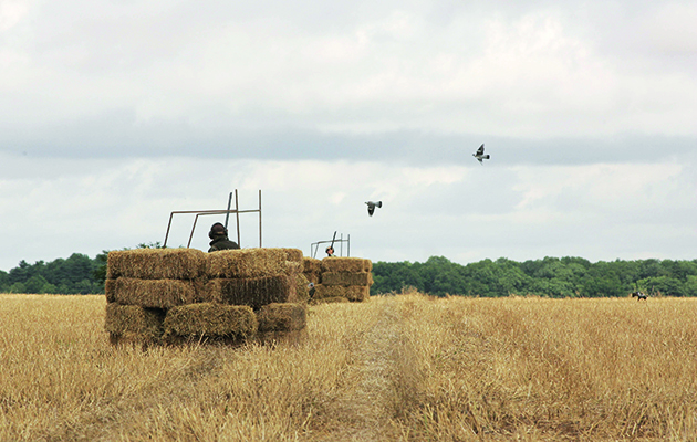 Shooting from a bale hide will put you in the centre of the action