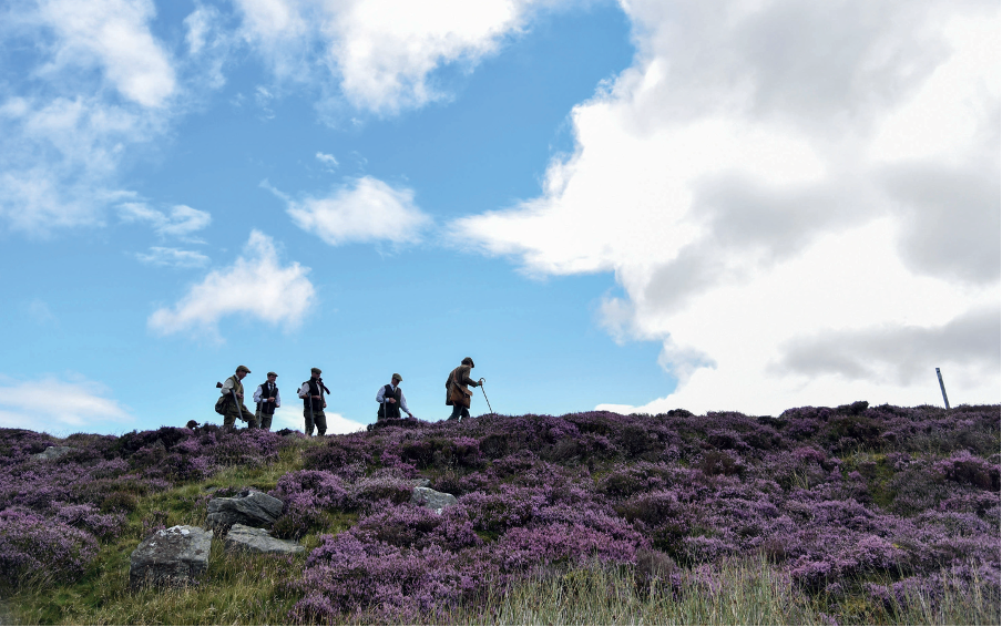 Grouse licences — now the burden of proof is shifting