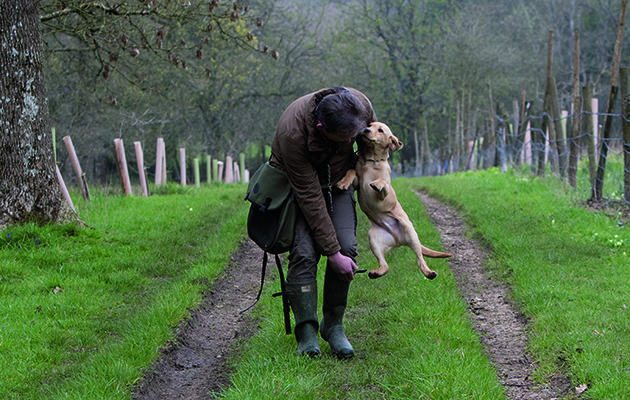 Heel work and quartering