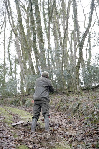 Game shooting at Hembury Castle, Devon