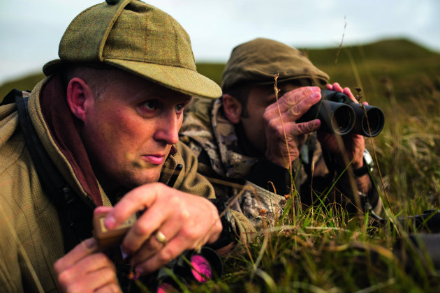 Why land reform risks wiping out Scotland&#8217;s deer