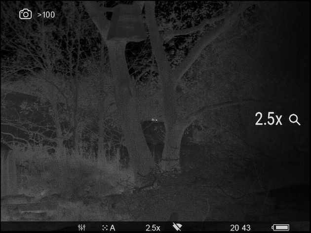 thermal imaging 