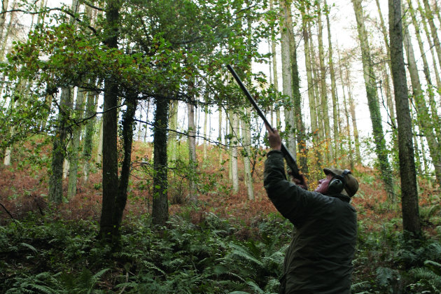 Man snap shooting pheasant