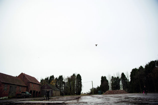 Hold your muzzles relative to the height of the bird just below the bird's line 
