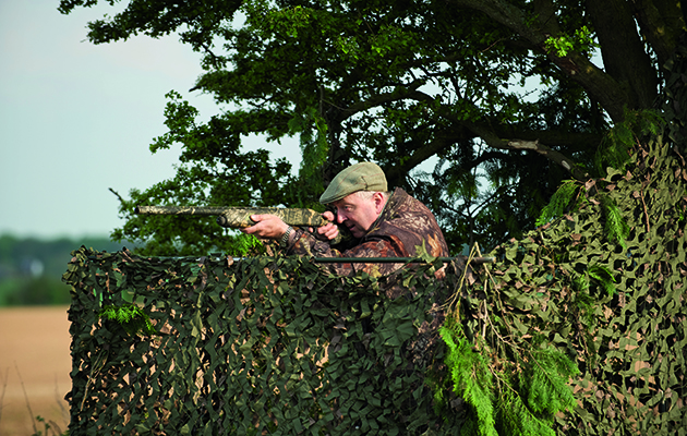 How to shoot more pigeon from a hide