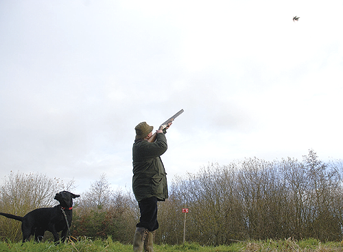 How many clays will ready me for the game shooting season?