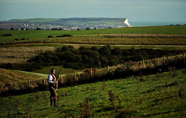 partridge shoots