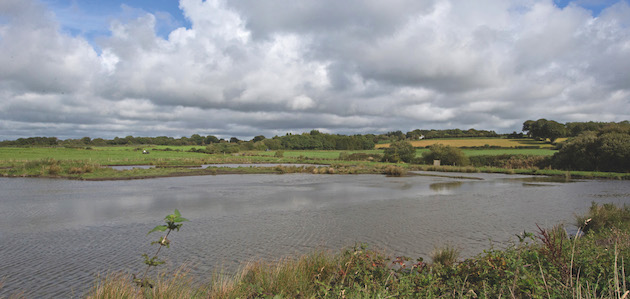 Duck pond