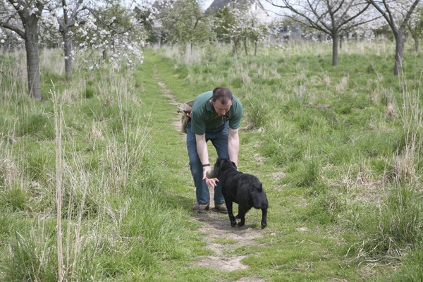 Does your gun dog change retrieves?
