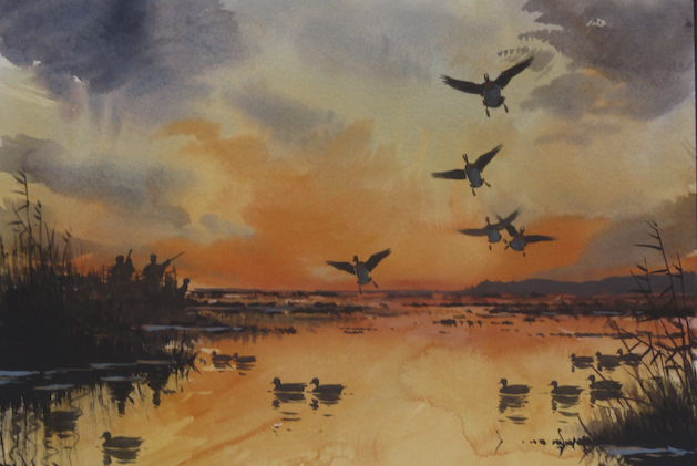 wildfowling illustration 