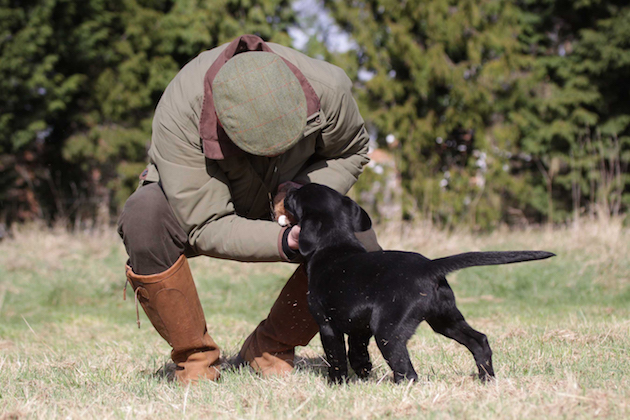 Is gundog boarding school worth it?
