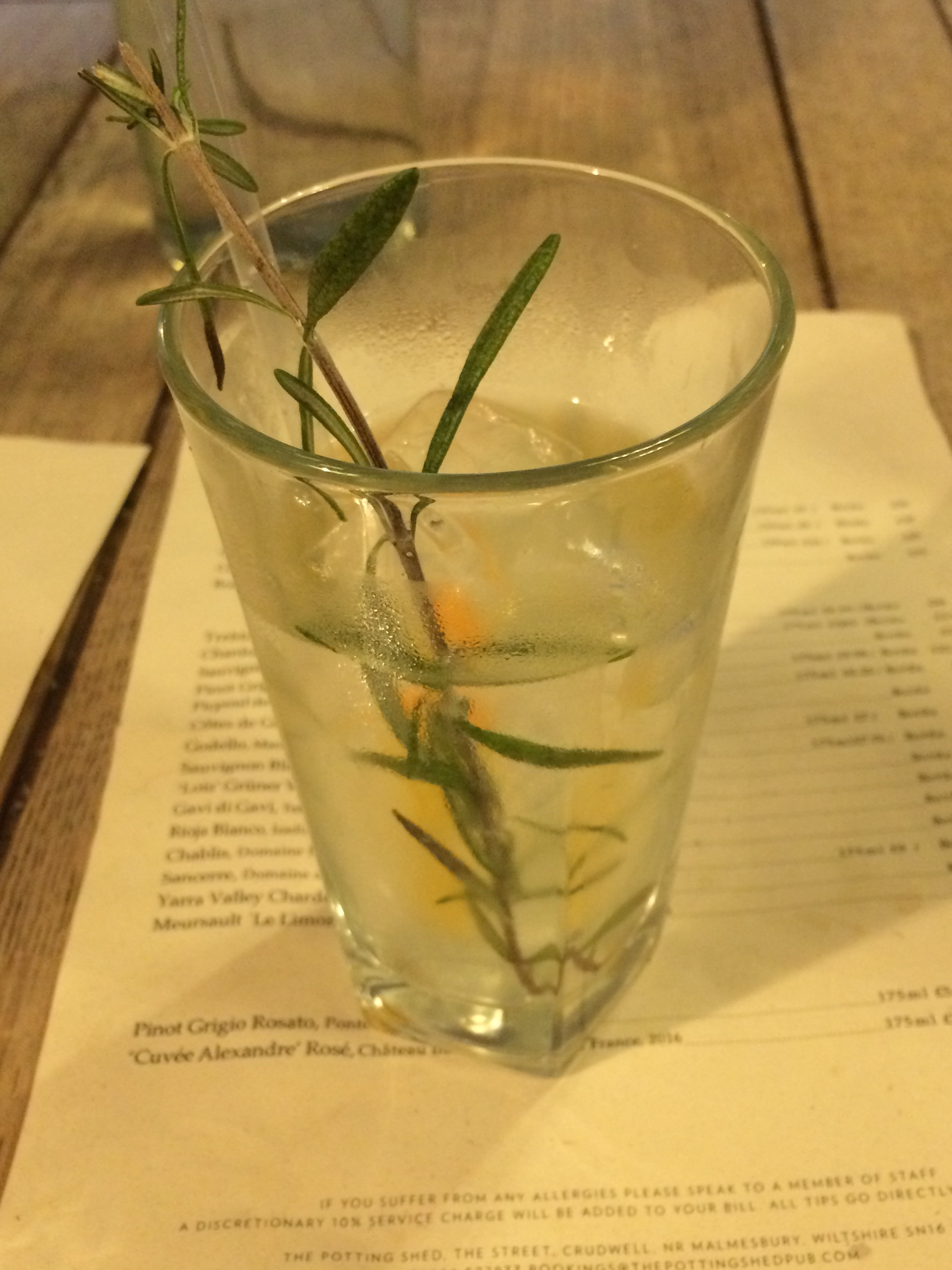 gin and tonic