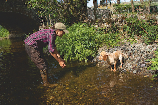 How to train your gundog for water work